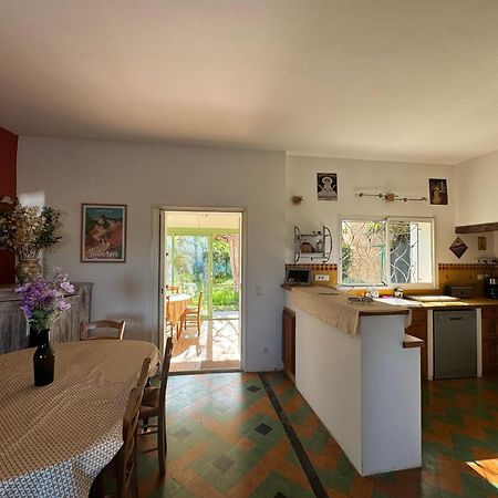 La Boissetane, Maison Provencale Avec Piscine Et Jardin, Au Pied Du Luberon Vila Saint-Martin-de-Castillon Exterior foto